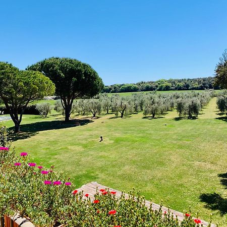 Il Borghetto Di Ansedonia公寓 外观 照片