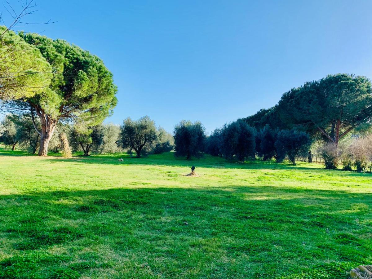 Il Borghetto Di Ansedonia公寓 外观 照片