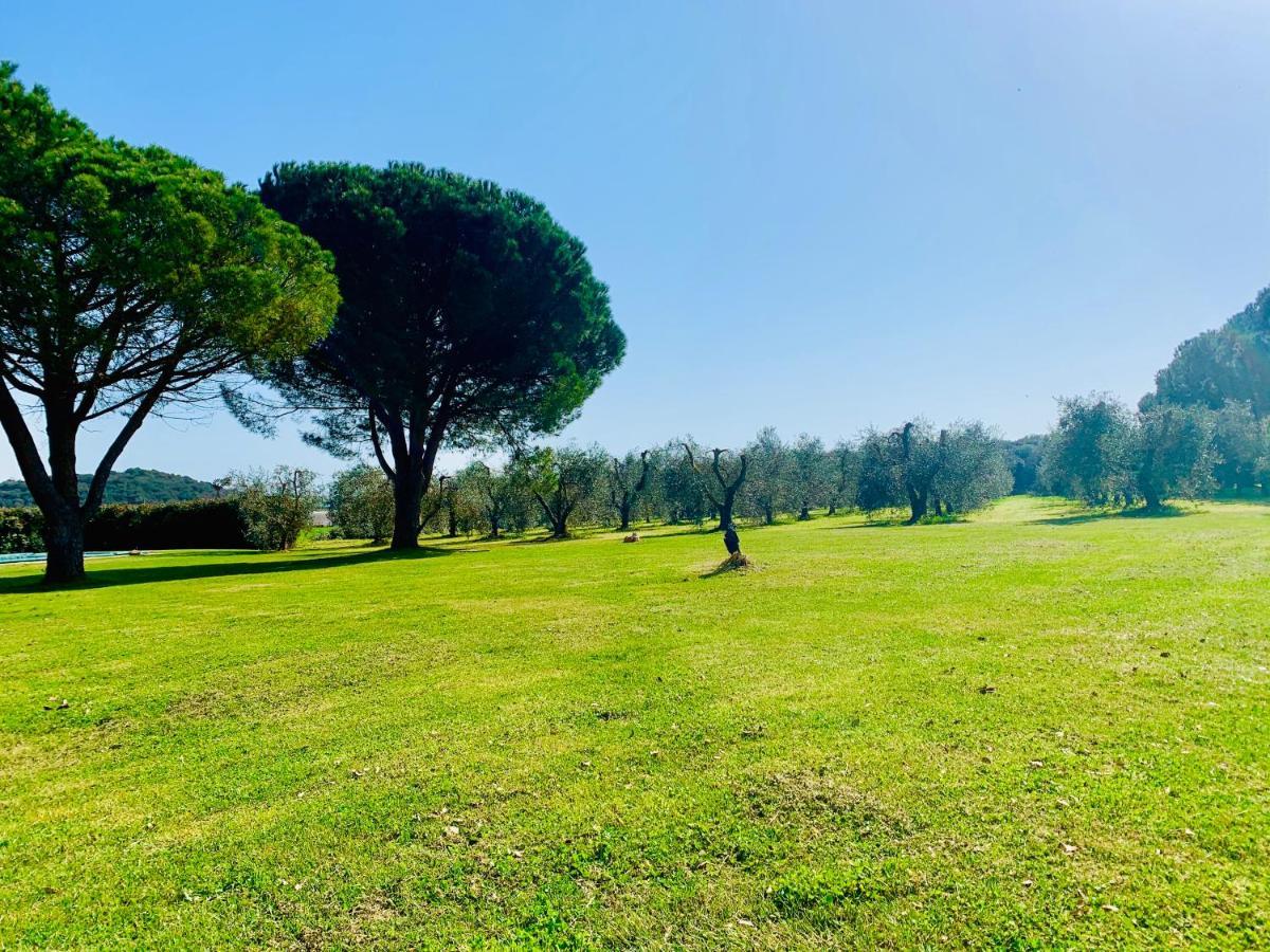 Il Borghetto Di Ansedonia公寓 外观 照片