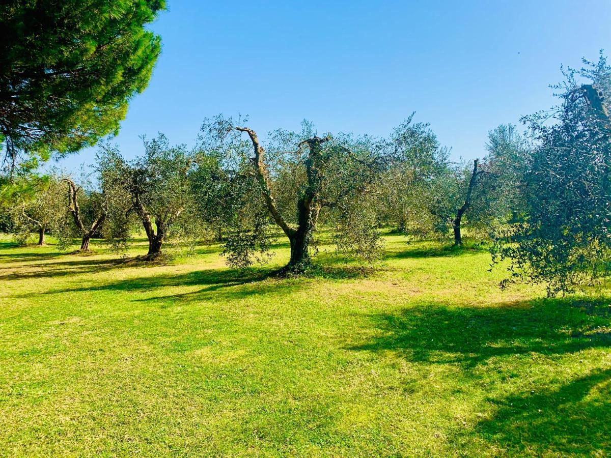 Il Borghetto Di Ansedonia公寓 外观 照片