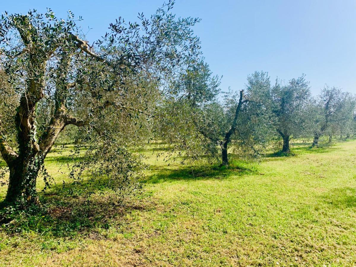 Il Borghetto Di Ansedonia公寓 外观 照片