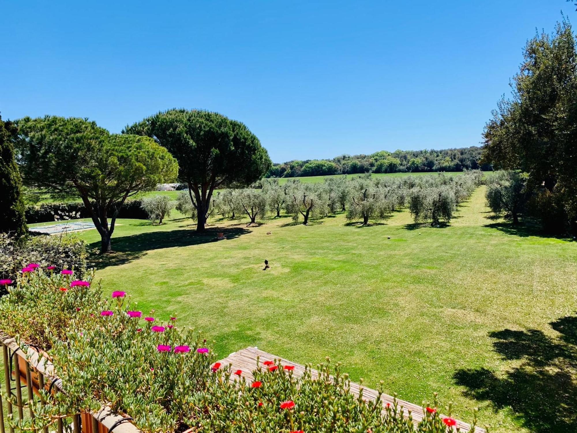 Il Borghetto Di Ansedonia公寓 外观 照片