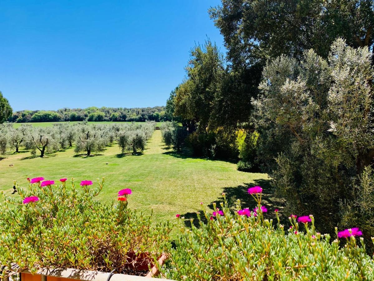 Il Borghetto Di Ansedonia公寓 外观 照片