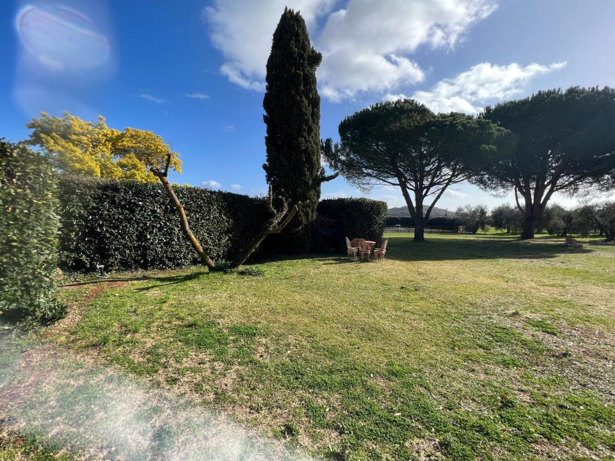 Il Borghetto Di Ansedonia公寓 外观 照片