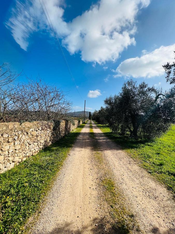 Il Borghetto Di Ansedonia公寓 外观 照片