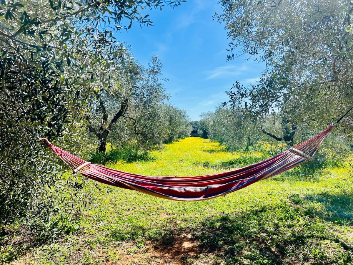 Il Borghetto Di Ansedonia公寓 外观 照片